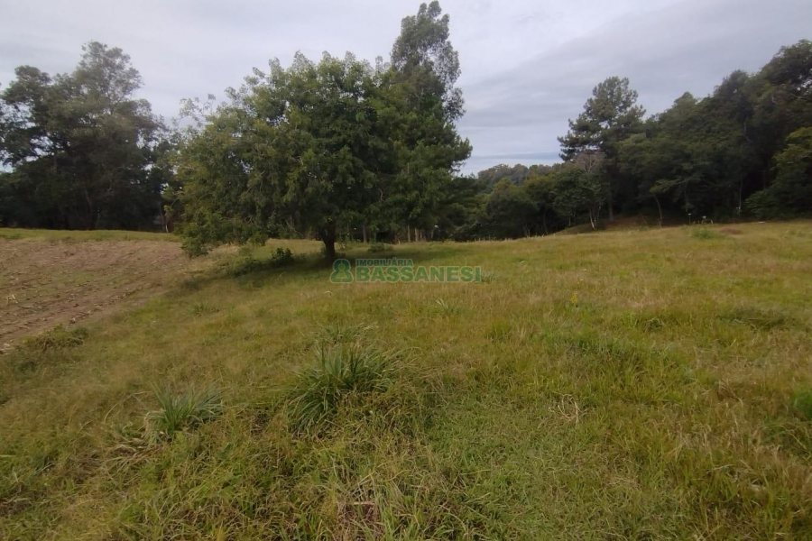 Chácara com 63810m², no bairro Cruzeiro em Caxias do Sul para Comprar
