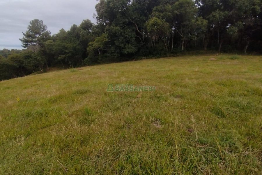 Chácara com 63810m², no bairro Cruzeiro em Caxias do Sul para Comprar