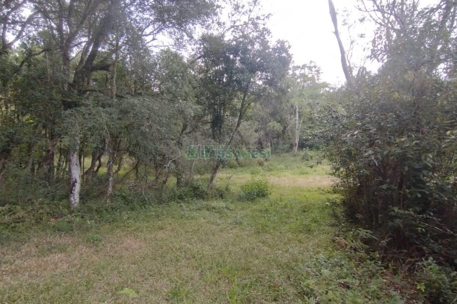 Chácara com 63810m², no bairro Cruzeiro em Caxias do Sul para Comprar