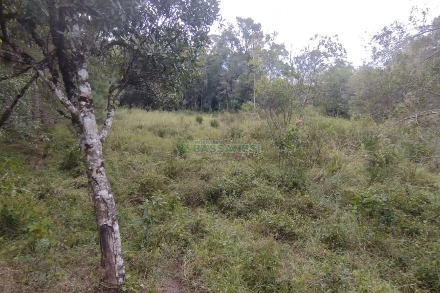 Chácara com 63810m², no bairro Cruzeiro em Caxias do Sul para Comprar