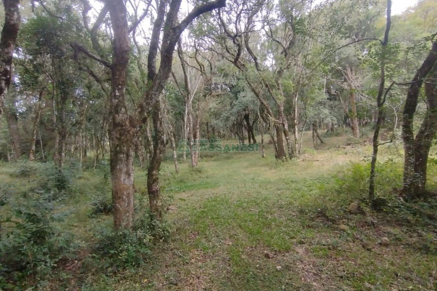Chácara com 63810m², no bairro Cruzeiro em Caxias do Sul para Comprar