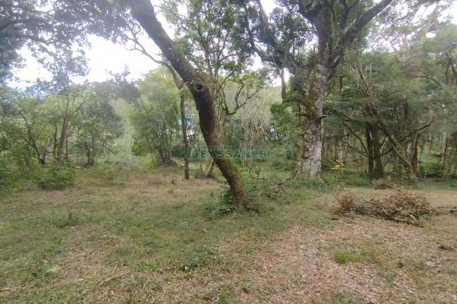 Chácara com 63810m², no bairro Cruzeiro em Caxias do Sul para Comprar