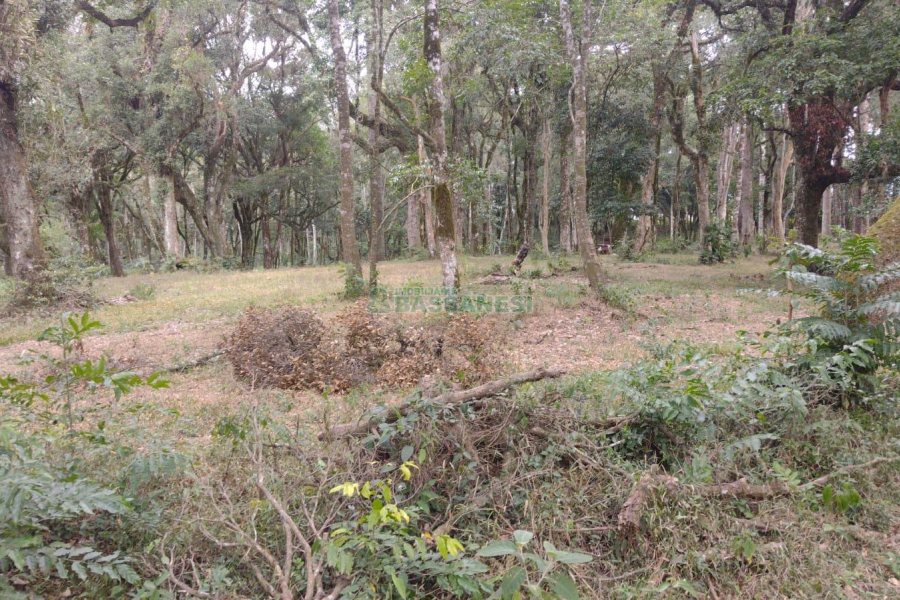 Chácara com 63810m², no bairro Cruzeiro em Caxias do Sul para Comprar