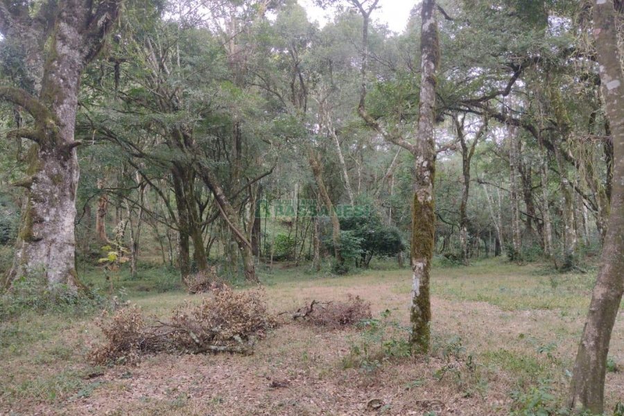 Chácara com 63810m², no bairro Cruzeiro em Caxias do Sul para Comprar