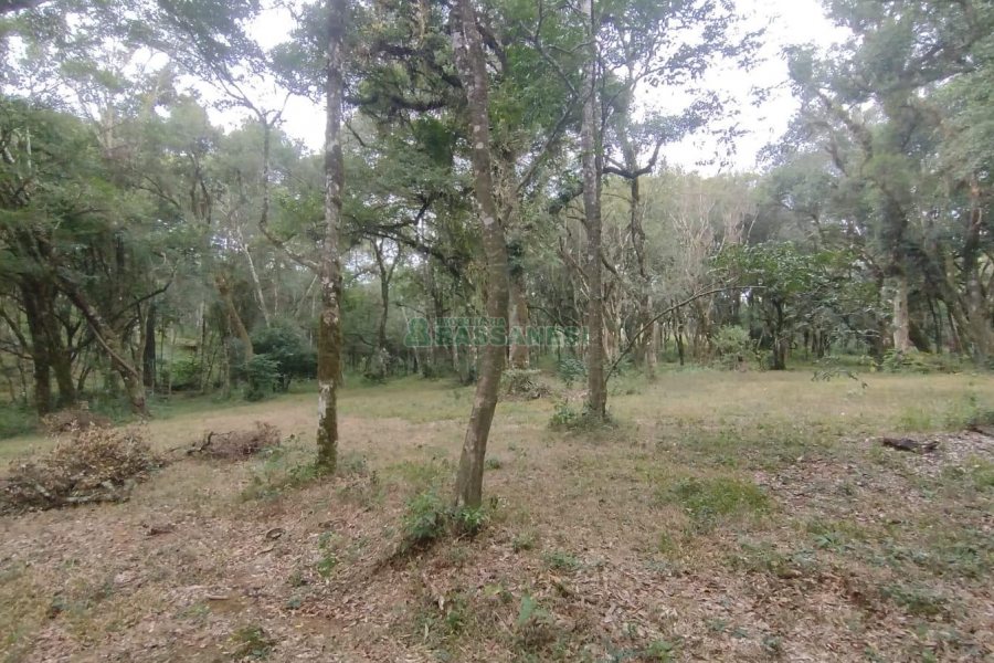 Chácara com 63810m², no bairro Cruzeiro em Caxias do Sul para Comprar
