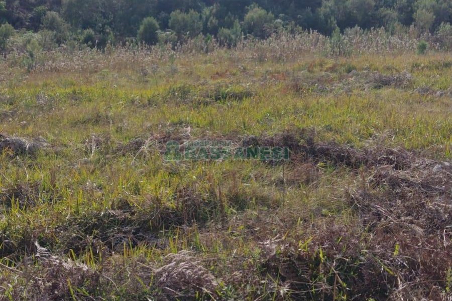 Chácara com 63810m², no bairro Cruzeiro em Caxias do Sul para Comprar