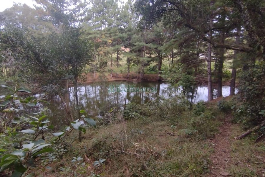 Chácara com 63810m², no bairro Cruzeiro em Caxias do Sul para Comprar