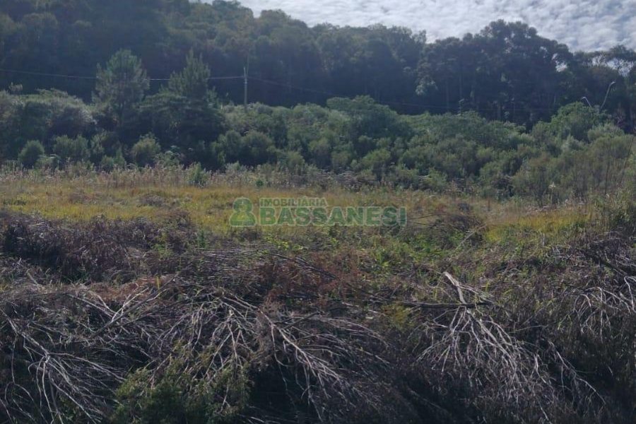 Chácara com 63810m², no bairro Cruzeiro em Caxias do Sul para Comprar