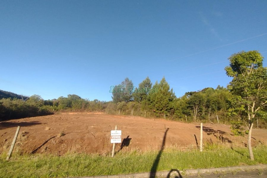 Terreno, no bairro Monte Bérico em Caxias do Sul para Comprar