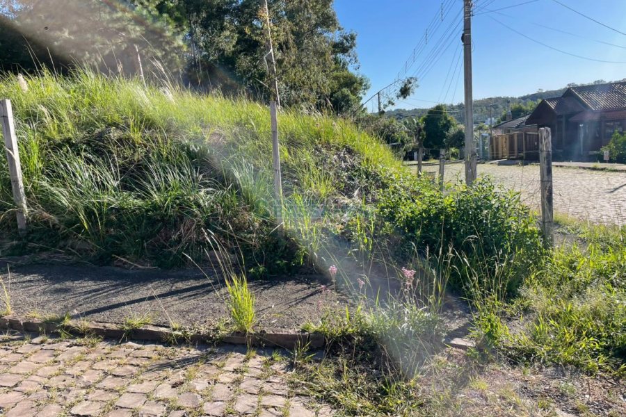 Terreno com 720m², no bairro Santa Lúcia em Caxias do Sul para Comprar