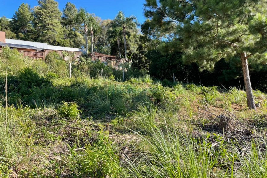 Terreno com 720m², no bairro Santa Lúcia em Caxias do Sul para Comprar