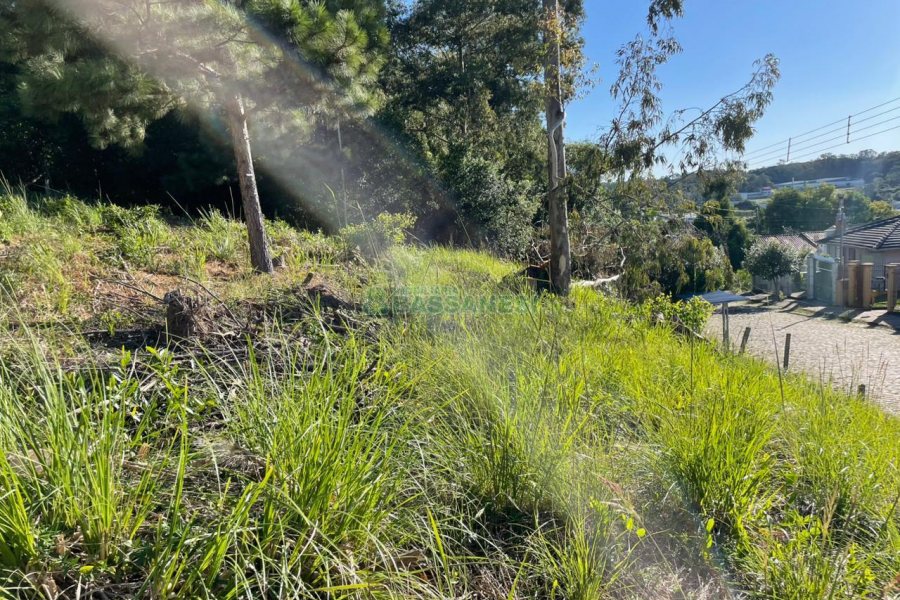 Terreno com 720m², no bairro Santa Lúcia em Caxias do Sul para Comprar