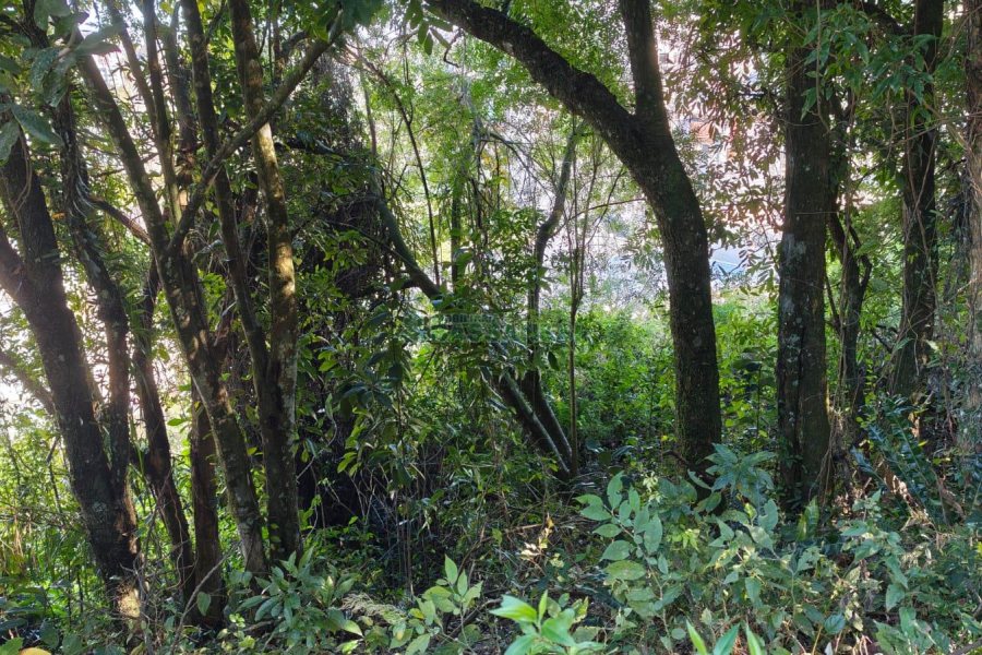 Terreno, no bairro Altos do Seminario em Caxias do Sul para Comprar