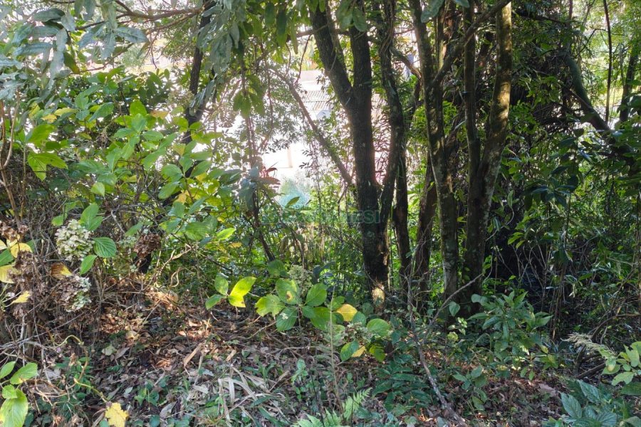 Terreno, no bairro Altos do Seminario em Caxias do Sul para Comprar