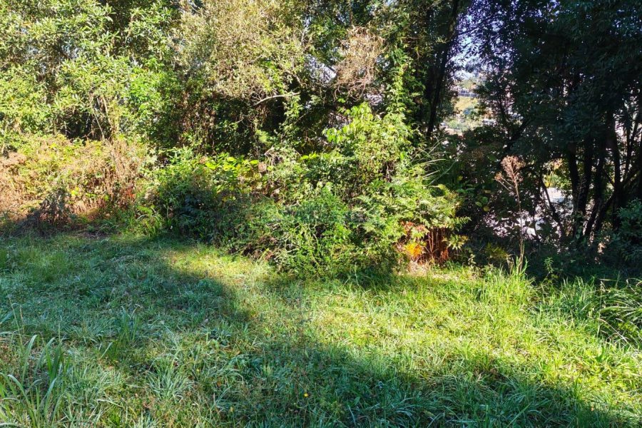 Terreno, no bairro Altos do Seminario em Caxias do Sul para Comprar