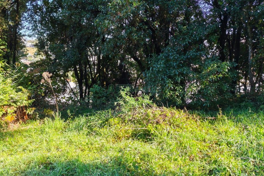Terreno, no bairro Altos do Seminario em Caxias do Sul para Comprar