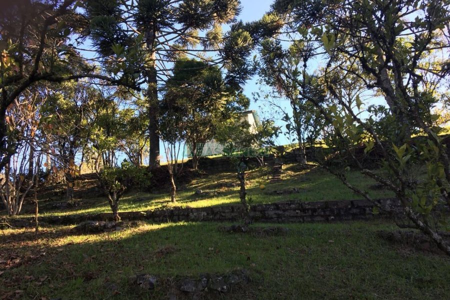 Terreno, no bairro Ana Rech em Caxias do Sul para Comprar
