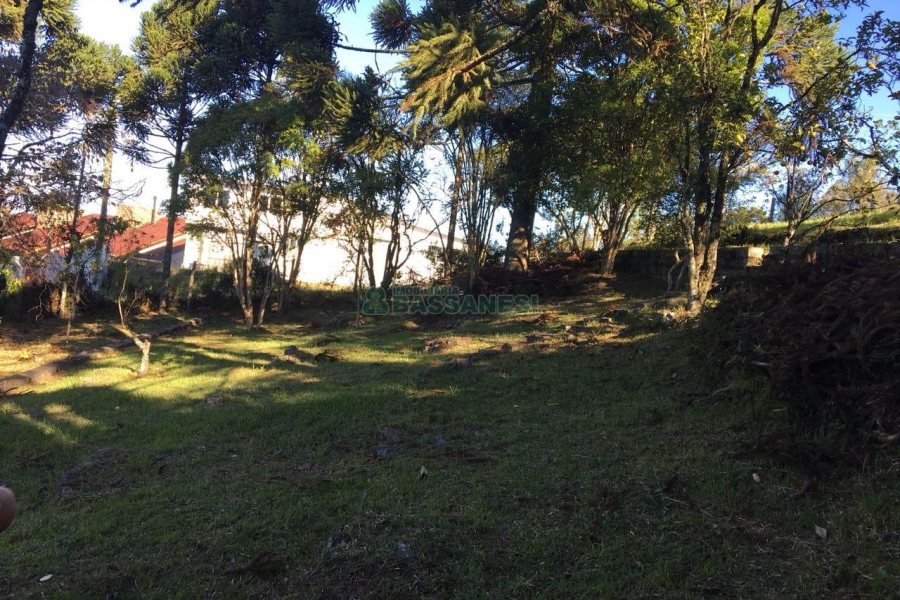 Terreno, no bairro Ana Rech em Caxias do Sul para Comprar