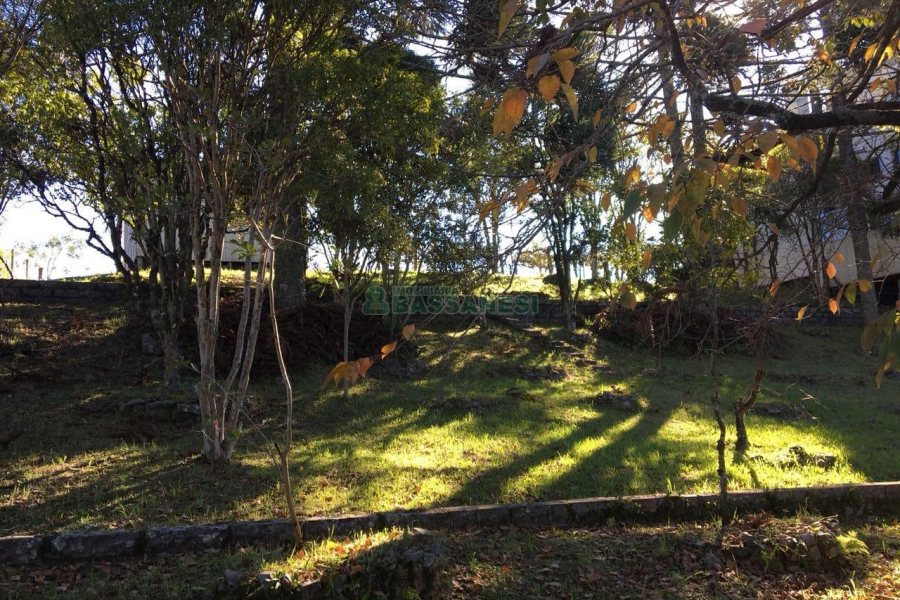 Terreno, no bairro Ana Rech em Caxias do Sul para Comprar