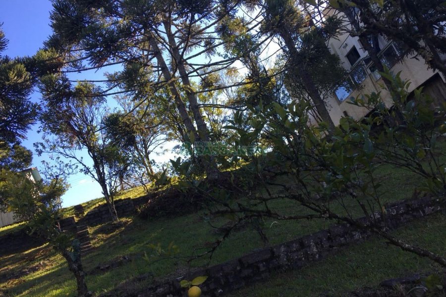 Terreno, no bairro Ana Rech em Caxias do Sul para Comprar