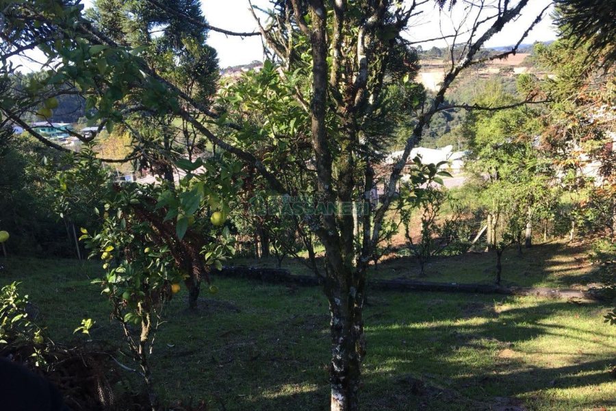 Terreno, no bairro Ana Rech em Caxias do Sul para Comprar