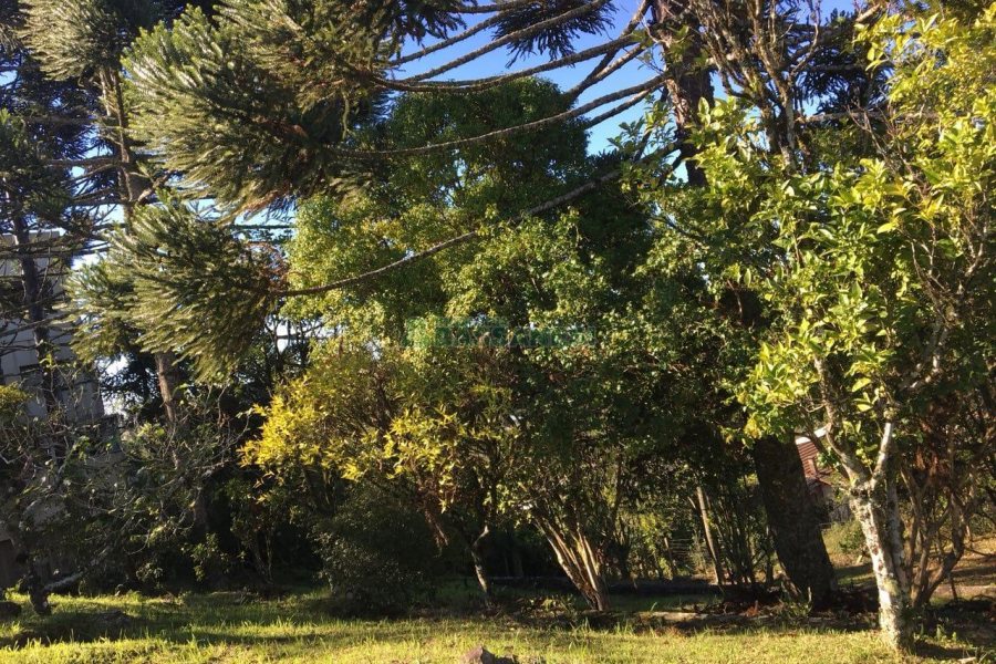 Terreno, no bairro Ana Rech em Caxias do Sul para Comprar