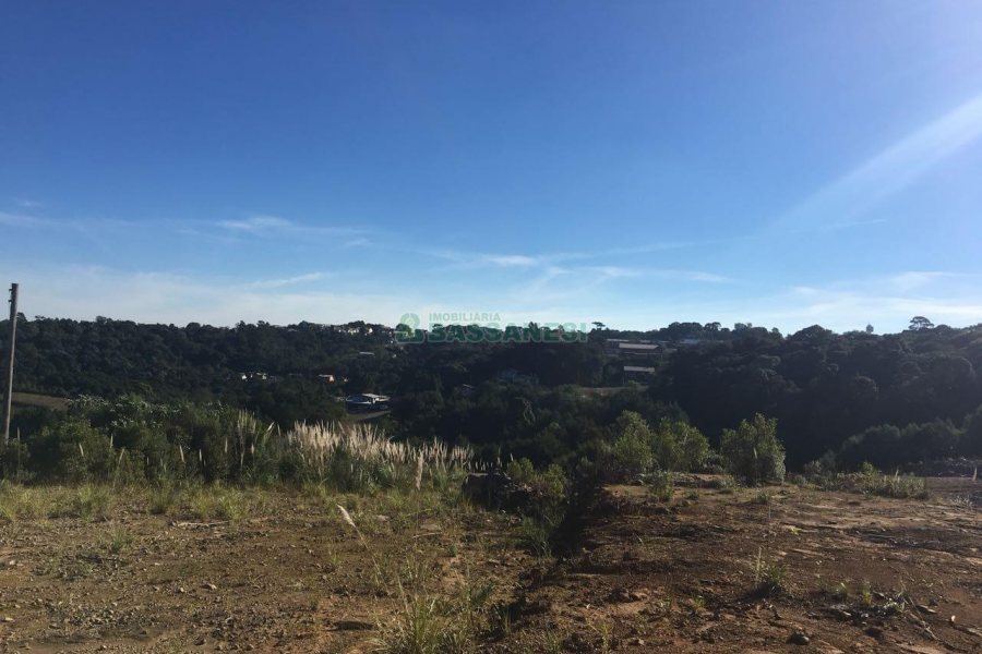 Terreno, no bairro Ana Rech em Caxias do Sul para Comprar