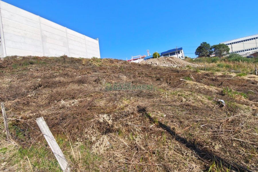 Terreno, no bairro Sanvitto em Caxias do Sul para Comprar