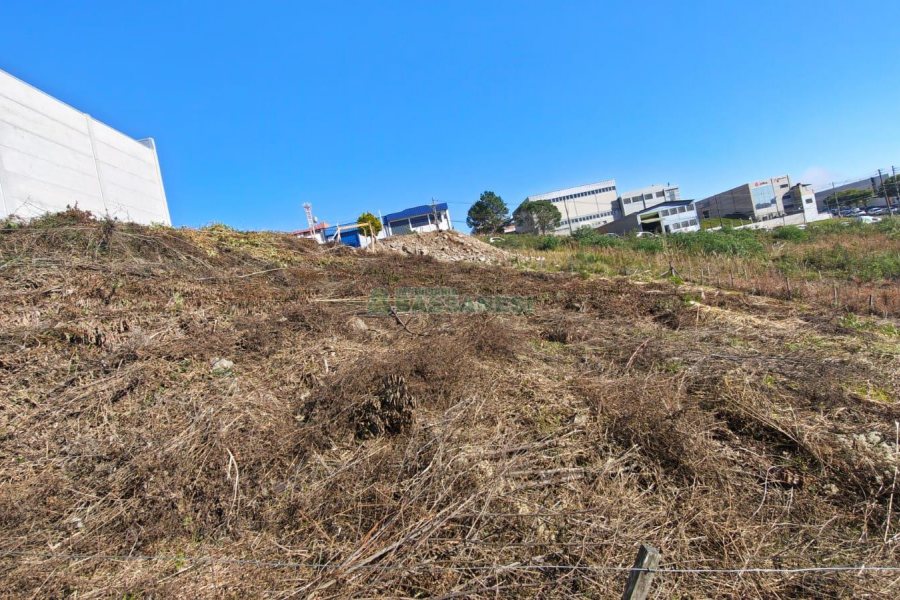 Terreno, no bairro Sanvitto em Caxias do Sul para Comprar