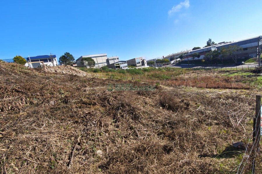 Terreno, no bairro Sanvitto em Caxias do Sul para Comprar