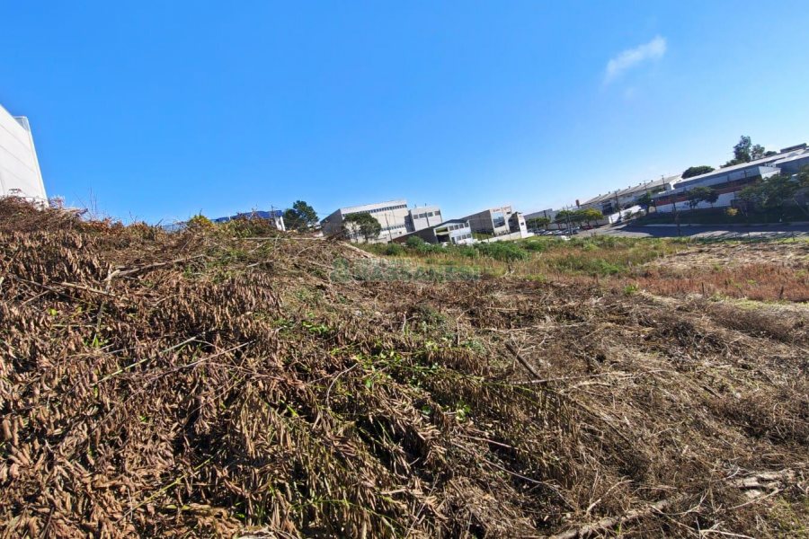 Terreno, no bairro Sanvitto em Caxias do Sul para Comprar
