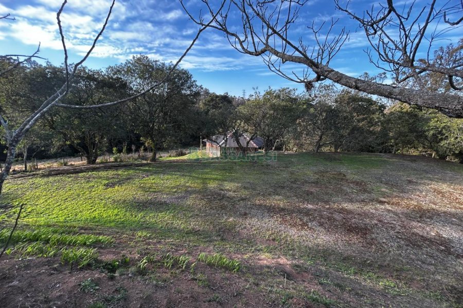 Chácara com 1300m², no bairro Forqueta em Caxias do Sul para Alugar