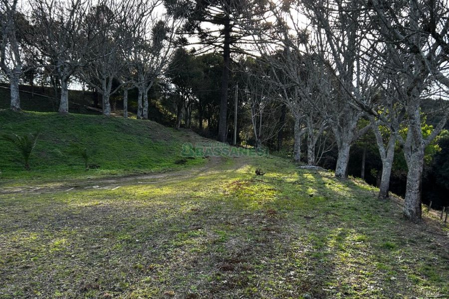 Chácara com 1300m², no bairro Forqueta em Caxias do Sul para Alugar