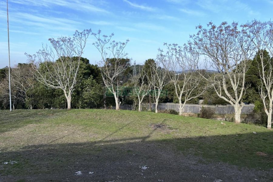 Chácara com 1300m², no bairro Forqueta em Caxias do Sul para Alugar