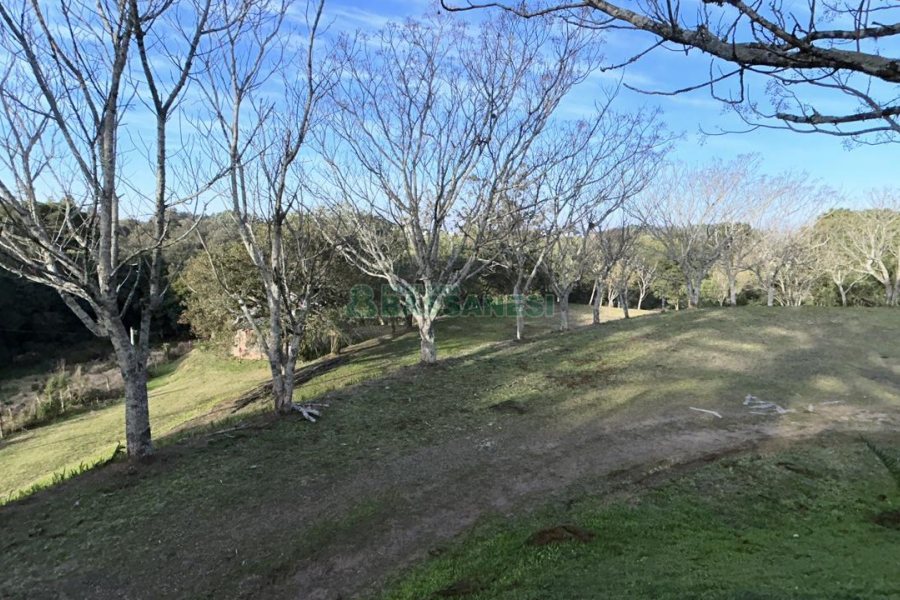 Chácara com 1300m², no bairro Forqueta em Caxias do Sul para Alugar