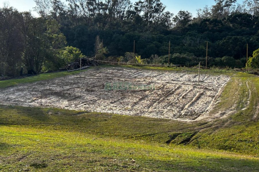 Chácara com 1300m², no bairro Forqueta em Caxias do Sul para Alugar