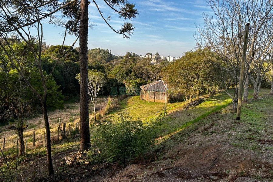 Chácara com 1300m², no bairro Forqueta em Caxias do Sul para Alugar