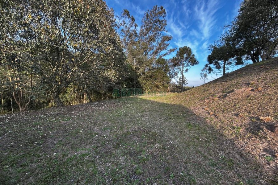 Chácara com 1300m², no bairro Forqueta em Caxias do Sul para Alugar