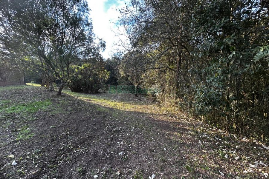 Chácara com 1300m², no bairro Forqueta em Caxias do Sul para Alugar