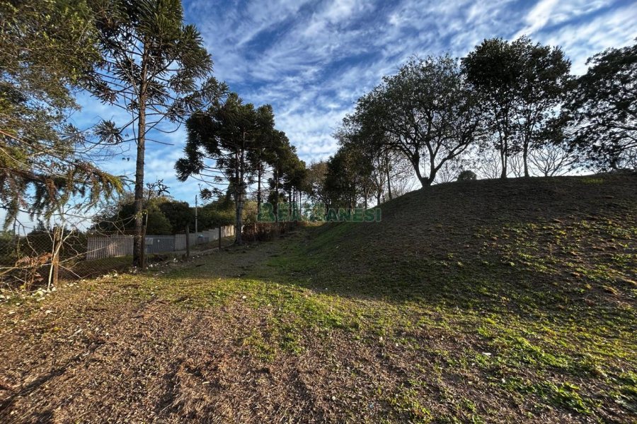 Chácara com 1300m², no bairro Forqueta em Caxias do Sul para Alugar