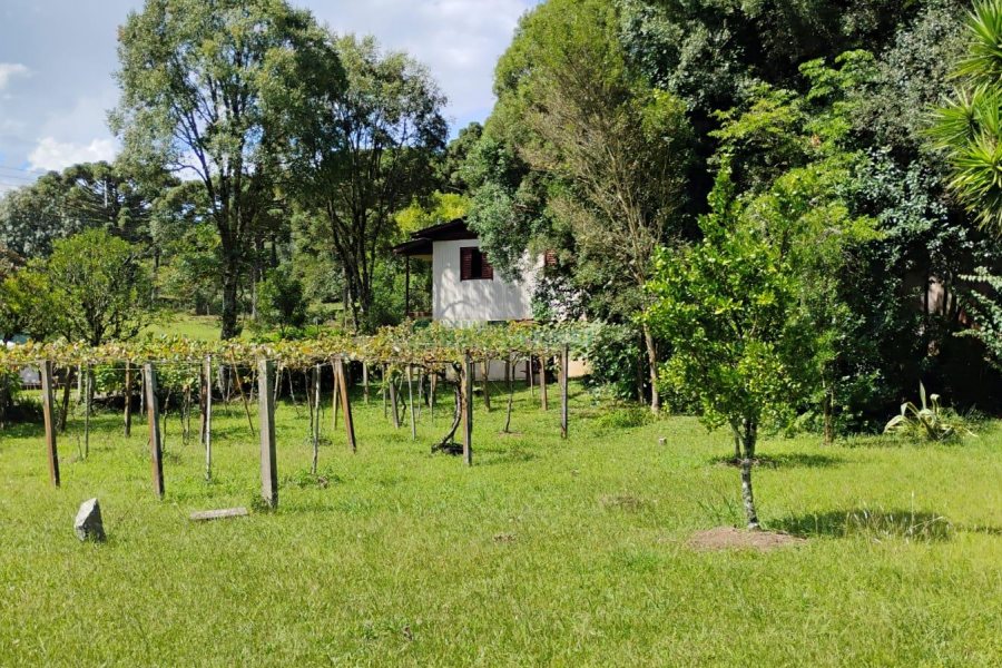 Casa com 72m², 2 dormitórios, 1 vaga, no bairro Fazenda Souza em Caxias do Sul para Comprar