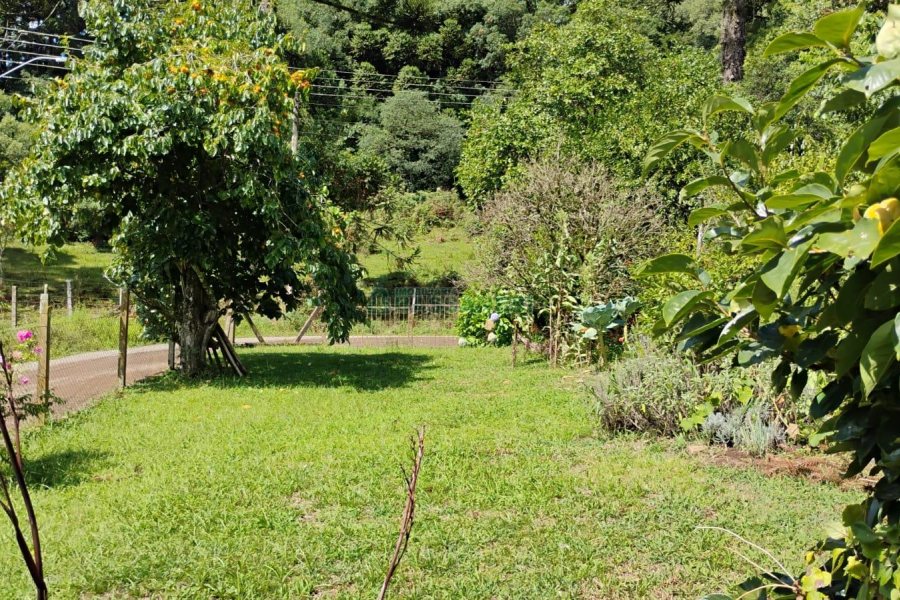 Casa com 72m², 2 dormitórios, 1 vaga, no bairro Fazenda Souza em Caxias do Sul para Comprar