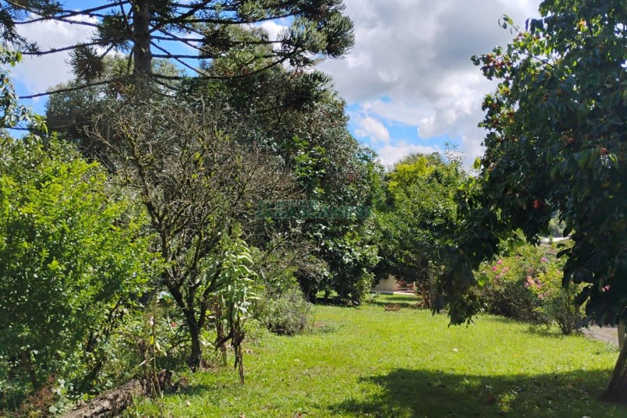 Casa com 72m², 2 dormitórios, 1 vaga, no bairro Fazenda Souza em Caxias do Sul para Comprar