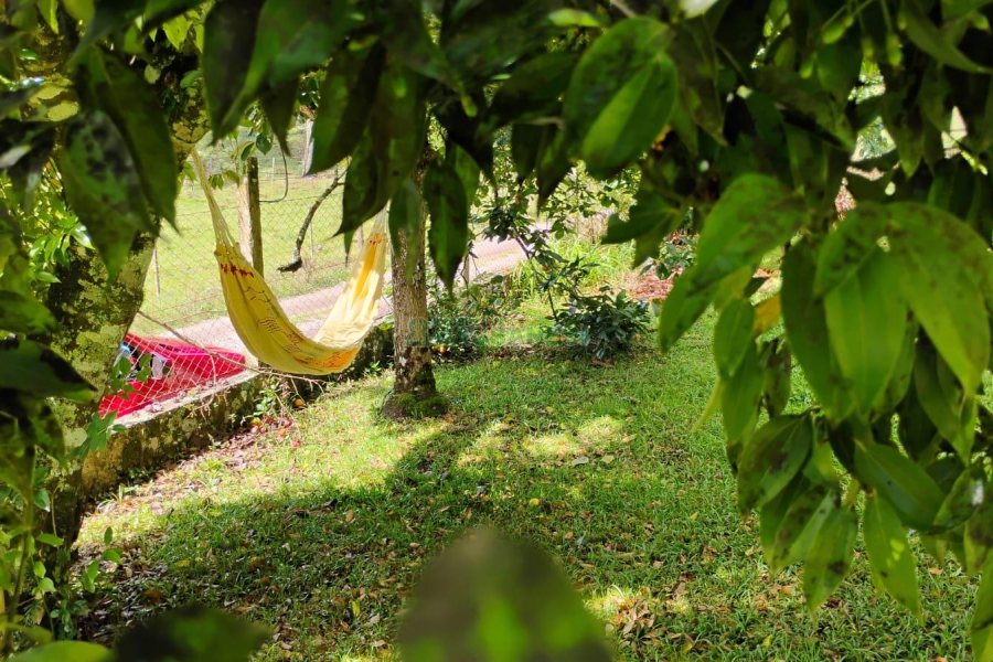 Casa com 72m², 2 dormitórios, 1 vaga, no bairro Fazenda Souza em Caxias do Sul para Comprar