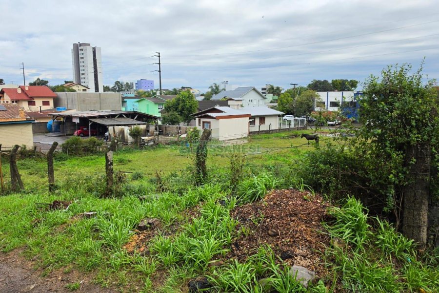 Terreno, no bairro Desvio Rizzo em Caxias do Sul para Comprar