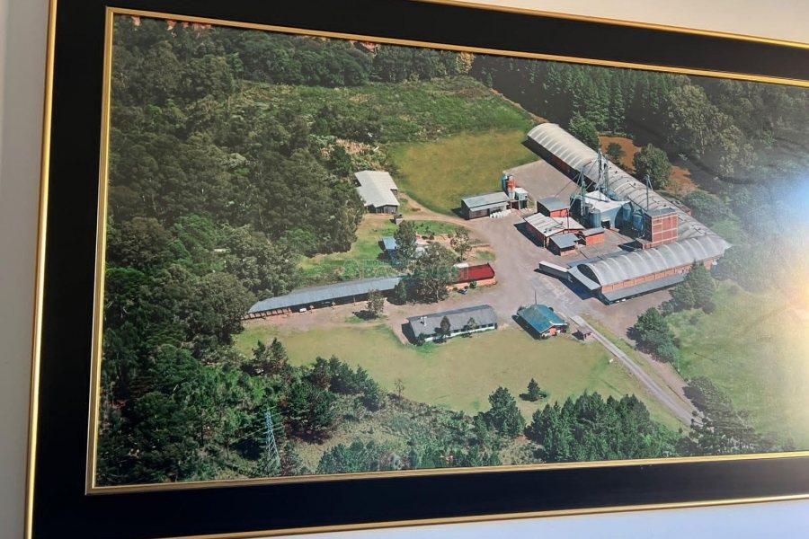 Pavilhão com 4600m², no bairro Forqueta em Caxias do Sul para Alugar