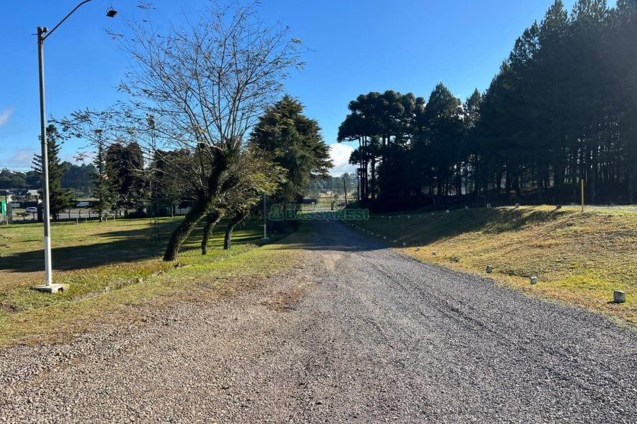 Pavilhão com 4600m², no bairro Forqueta em Caxias do Sul para Alugar