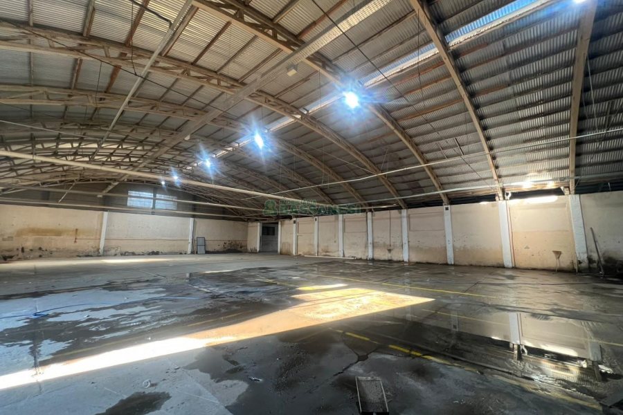 Pavilhão com 2500m², no bairro Sao Gotardo em Flores da Cunha para Alugar