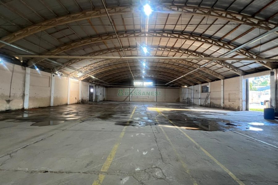Pavilhão com 2500m², no bairro Sao Gotardo em Flores da Cunha para Alugar