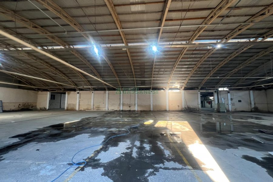 Pavilhão com 2500m², no bairro Sao Gotardo em Flores da Cunha para Alugar